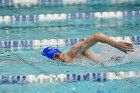 Swimming & Diving vs RWU  Swimming & Diving vs Roger Williams University. - Photo by Keith Nordstrom : Wheaton, Swimming